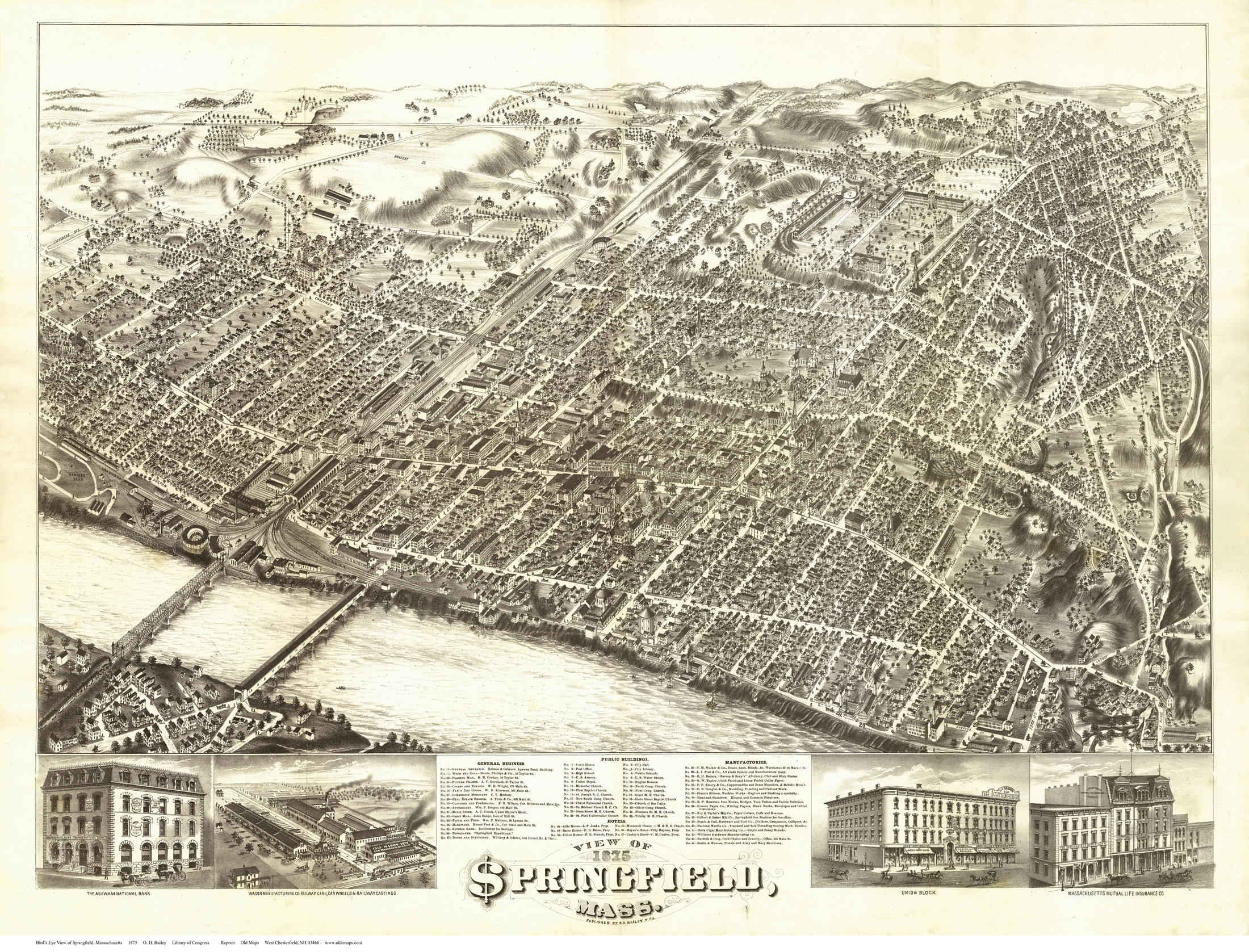 springfield1875