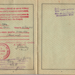Zerkowitz_Georg - German Passport (5)
