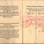 Banner_Chaja - Polish Passport (6)